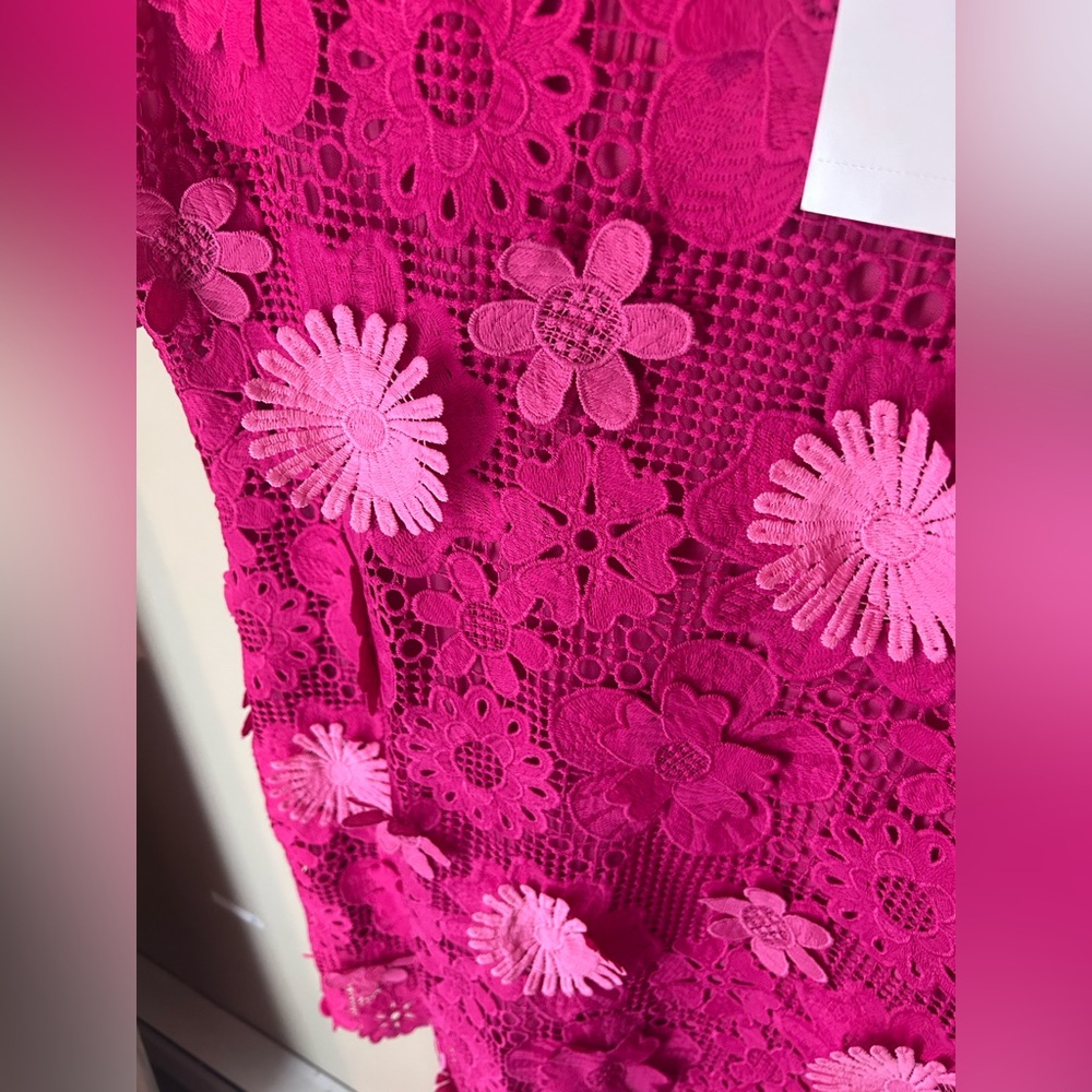 NWT Nina Leonard Sleeveless 3D Floral Lace Midi Dress Dragon Fruit Multi Size XL - Picture 6 of 13